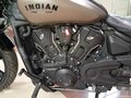 2024 Indian Scout, коричневый - вид 9