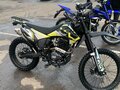 2025 Oxo Lite, зелёный - вид 1