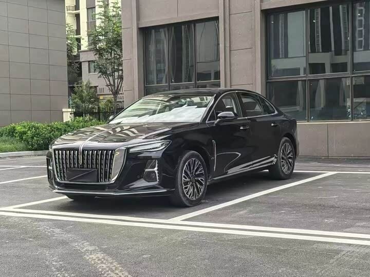 Открыть фотографии: Hongqi H5 II