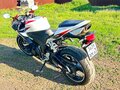 2008 Honda CBR 600RR, белый, 750000 рублей - вид 4