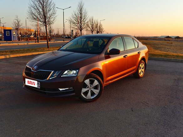 2017 Skoda Octavia III (A7) Рестайлинг, коричневый, 2459954 рублей - вид 18