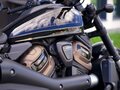 2022 Harley-Davidson Sportster S, чёрный, 1350000 рублей - вид 11