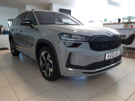 2026 Skoda Kodiaq II, серый, 3930000 рублей, вид 1