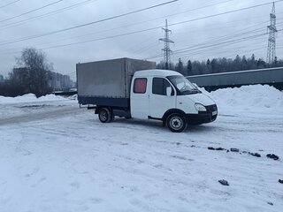 2008 ГАЗ ГАЗель (33023/330273) Фермер, белый, 650000 рублей, вид 3