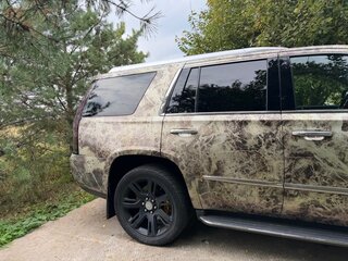 2016 Cadillac Escalade IV, бежевый, 3500000 рублей, вид 5