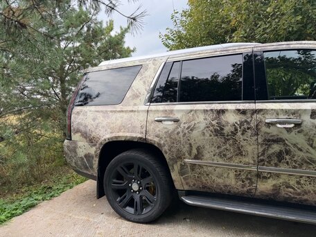 2016 Cadillac Escalade IV, бежевый, 3300000 рублей, вид 5