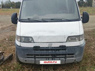 2001 Fiat Professional Ducato, белый, 450000 рублей, вид 1