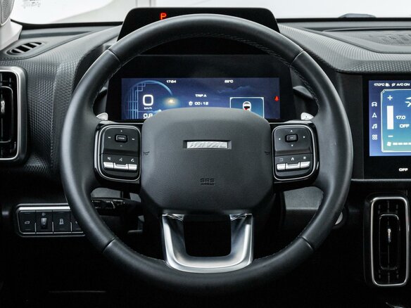 2021 Haval DaGou (Big Dog) I, серый - вид 13