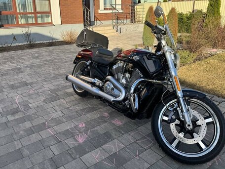 2015 Harley-Davidson V-Rod, пурпурный, 1800000 рублей, вид 2