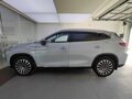 2022 Exeed TXL I Рестайлинг, серый - вид 7