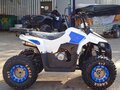 2026 Motoland ATV 110 Eagle, белый, 85400 рублей - вид 3