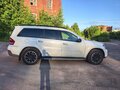 2008 Mercedes-Benz GL-Класс 500 I (X164), белый, 1250000 рублей - вид 1