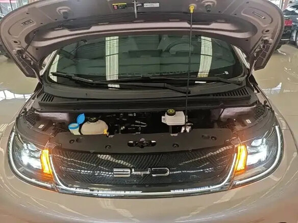 2022 BYD Dolphin 44.9 kWh I, розовый - вид 18