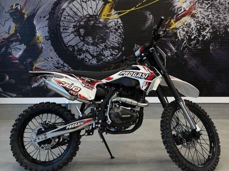 2026 Progasi Super Max 300, красный, 209990 рублей, вид 5