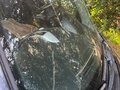 2012 Kia Ceed I Рестайлинг, чёрный, 800000 рублей - вид 11