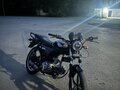 2019 Racer Alpha, чёрный, 75000 рублей - вид 3