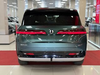 2025 Denza N9 46.9 kWh, зелёный, 8700000 рублей, вид 5