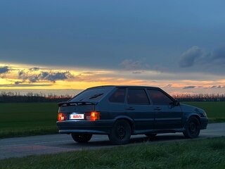 2006 Lada (ВАЗ) 2114, серый, 200000 рублей, вид 2