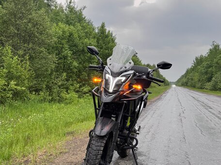 2024 Regulmoto ADV 300 NB, серый, 190000 рублей, вид 2