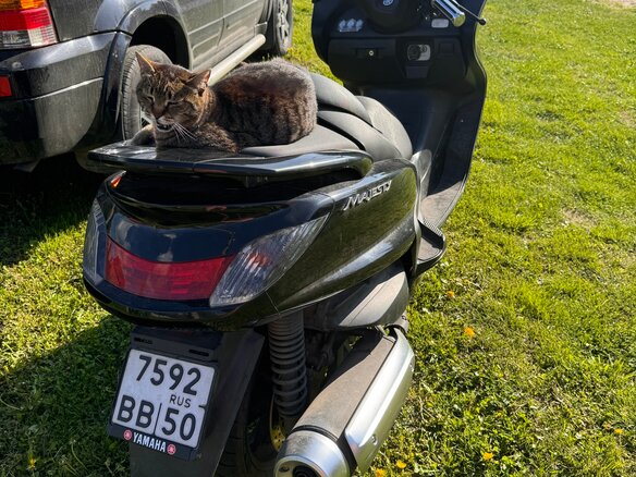 2004 Yamaha Majesty 250, чёрный, 215000 рублей - вид 1