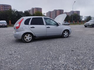 2009 Lada (ВАЗ) Kalina I, серебристый, 170000 рублей, вид 2