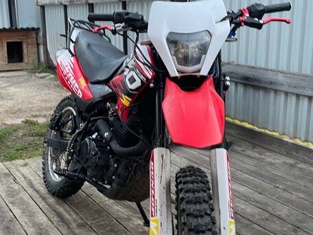 2025 Racer Panther, красный, 125000 рублей, вид 2