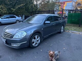 2006 Nissan Teana I (J31) Рестайлинг, серый, 400000 рублей, вид 1