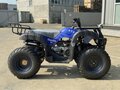 2026 Другие Мотовездеходы (другие), синий, 202200 рублей - вид 2