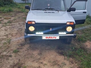 2010 Lada (ВАЗ) 2131 (4x4) Рысь I, серый, 155000 рублей, вид 3