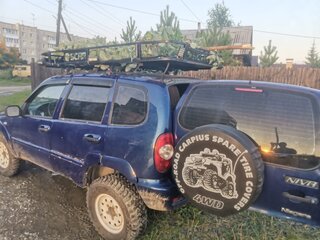 2008 Chevrolet Niva I, синий, 350000 рублей, вид 5