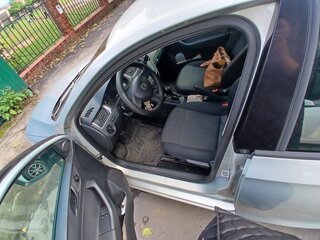 2014 Skoda Rapid I, серебристый, 787500 рублей, вид 3