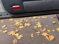 2002 Skoda Octavia I (A4) Рестайлинг, серый - вид 11