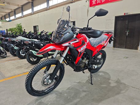 2026 Loncin DS250, пурпурный, 258000 рублей, вид 1