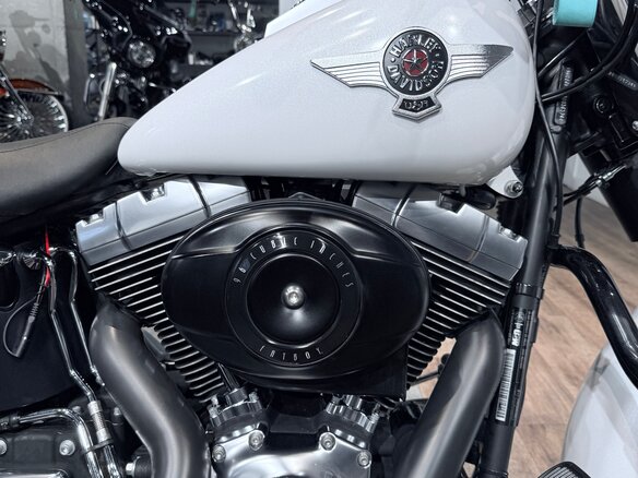 2011 Harley-Davidson Fat Boy, белый, 1399000 рублей - вид 31