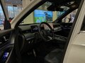 2025 Chery Tiggo 9 I, белый, 4593600 рублей - вид 9