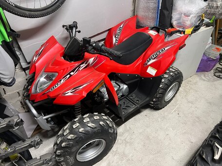 2012 Arctic Cat 90 Series, красный, 200000 рублей, вид 1