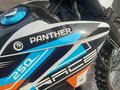 2020 Racer Panther, синий, 155000 рублей