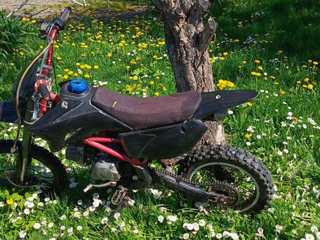 2017 Irbis TTR 125, красный, 42000 рублей, вид 1
