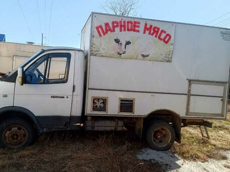 2004 ГАЗ ГАЗель (3302), белый, 450000 рублей, вид 4