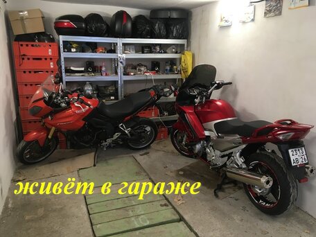 2014 Yamaha FJR1300, красный, 1070000 рублей, вид 5