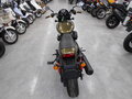 2017 Harley-Davidson Street Rod, зелёный, 550000 рублей - вид 6