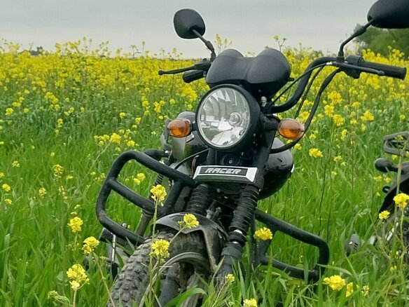 2025 Racer Alpha, чёрный, 45000 рублей - вид 4