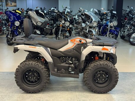 2022 Loncin XWolf 300, серебристый, 320000 рублей, вид 5