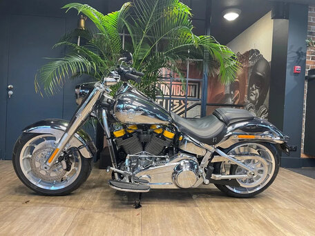 2025 Harley-Davidson Fat Boy, серебристый, 6000000 рублей, вид 2
