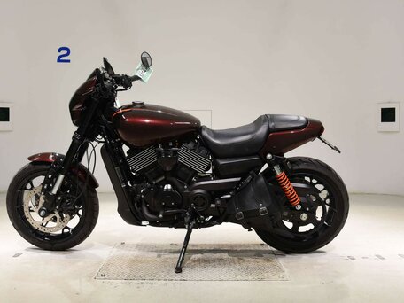 2021 Harley-Davidson Street Rod, коричневый, 695000 рублей, вид 1