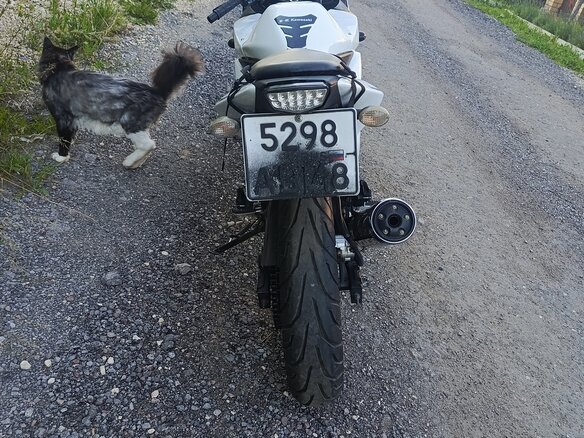 2011 Kawasaki Ninja 250R, белый, 315000 рублей - вид 5