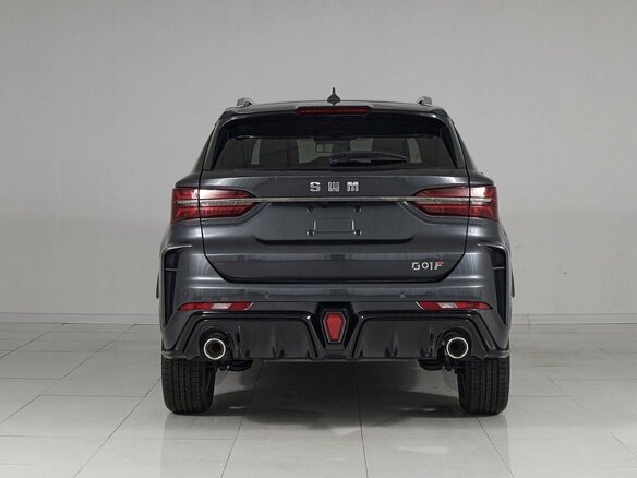 2024 SWM G01F, серый, 1855000 рублей - вид 4