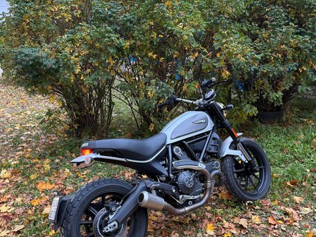 2017 Ducati Scrambler 800, серебристый, 700000 рублей, вид 1