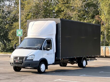 2008 ГАЗ ГАЗель (3302), белый, 1259000 рублей, вид 5