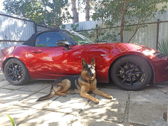 2021 Mazda Roadster IV (ND), красный, 2350000 рублей - вид 8